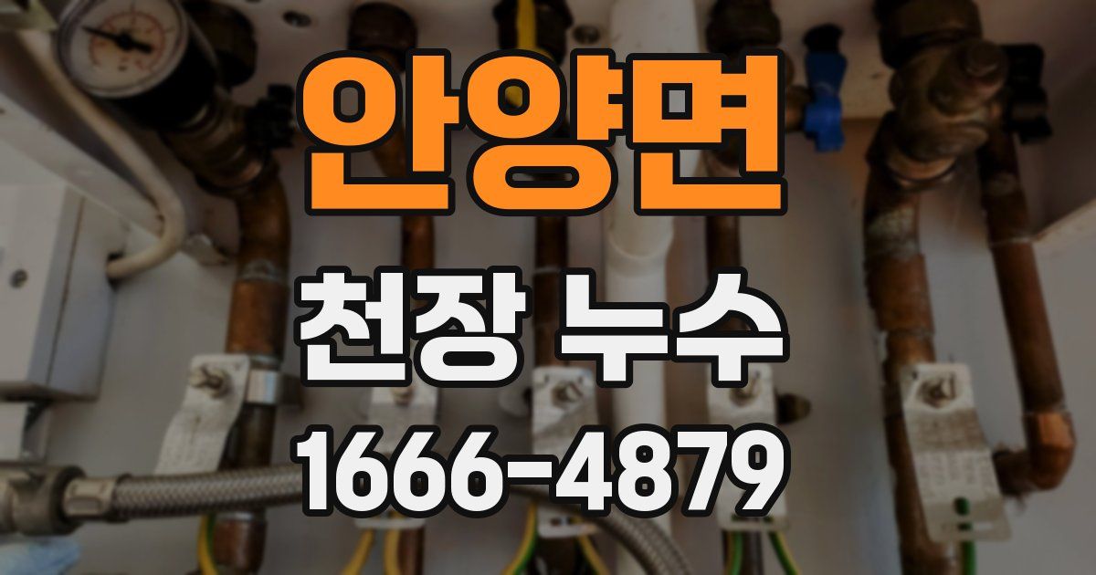 안양면 천장 누수