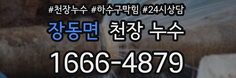 장동면 천장 누수