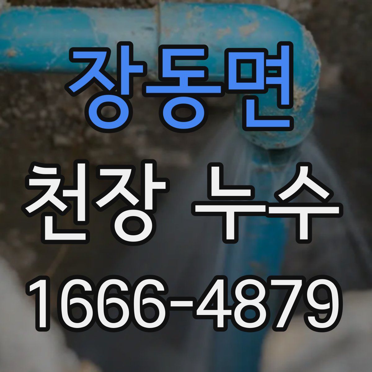 장동면 천장 누수