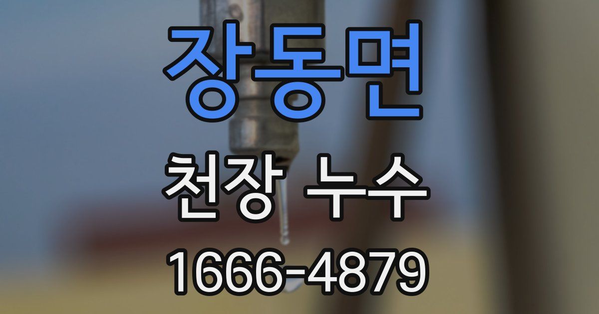 장동면 천장 누수