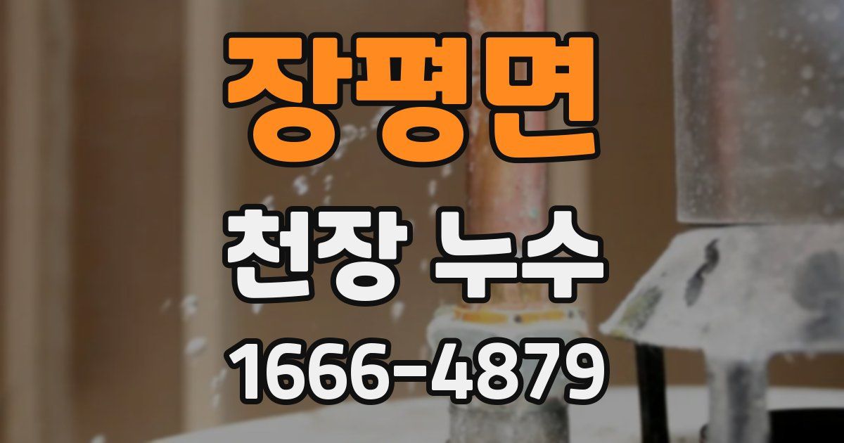 장평면 천장 누수