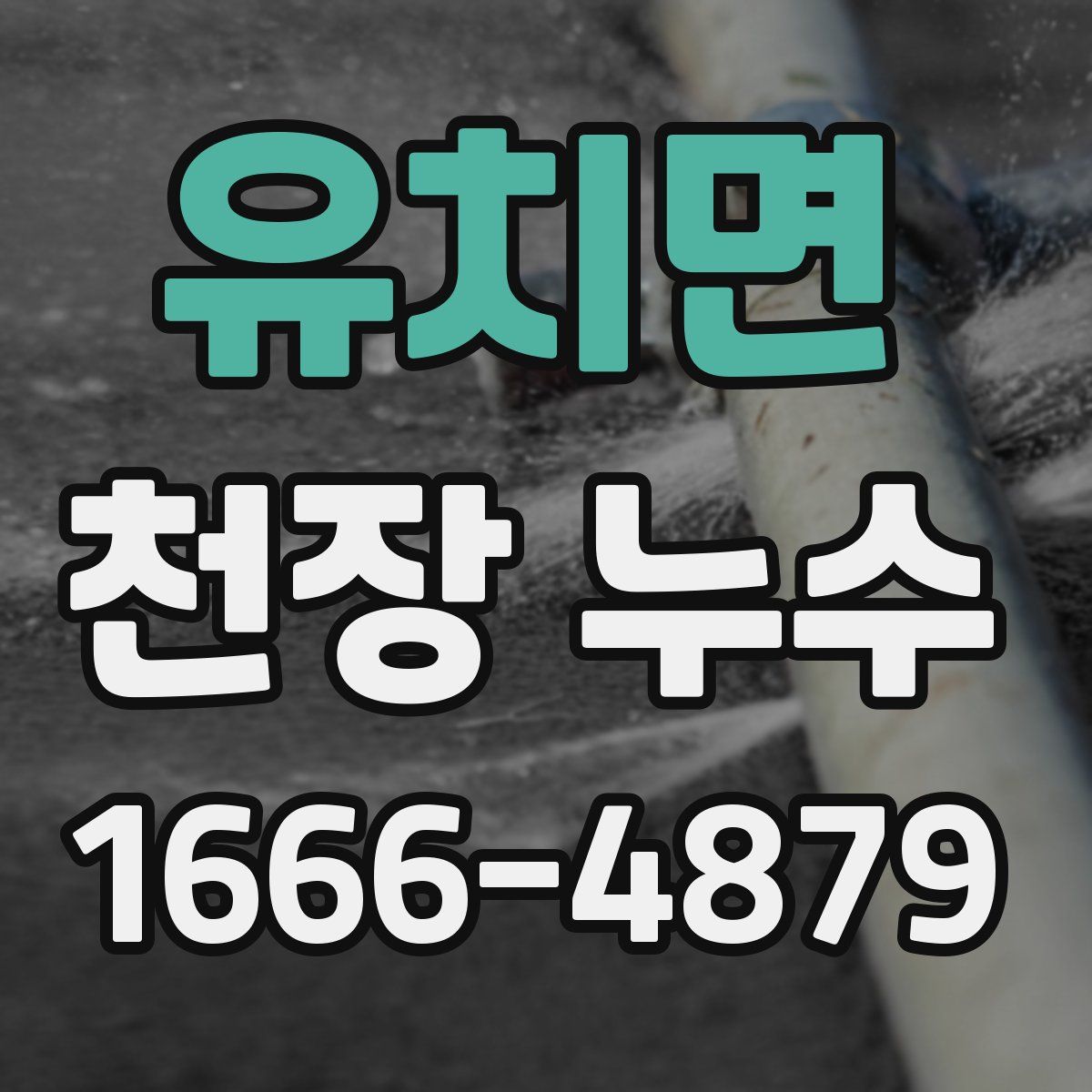 유치면 천장 누수