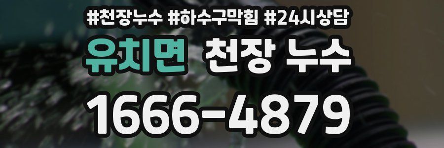 유치면 천장 누수