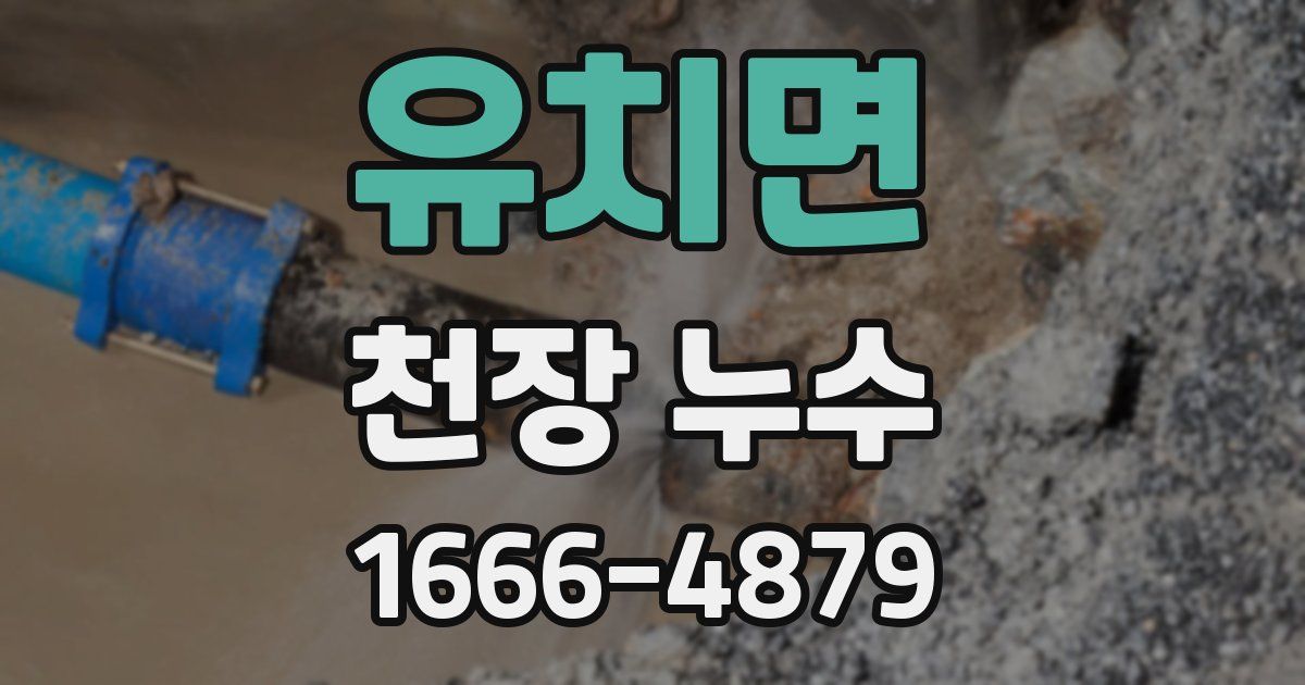 유치면 천장 누수