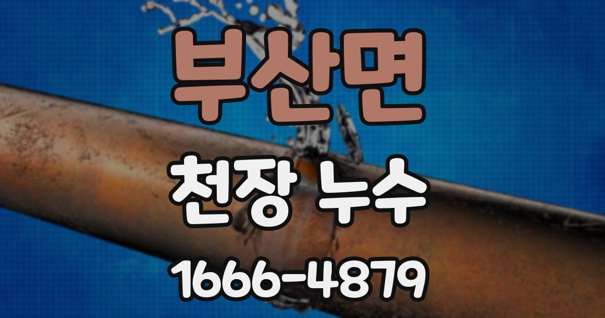부산면 천장 누수