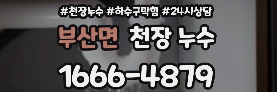 부산면 천장 누수