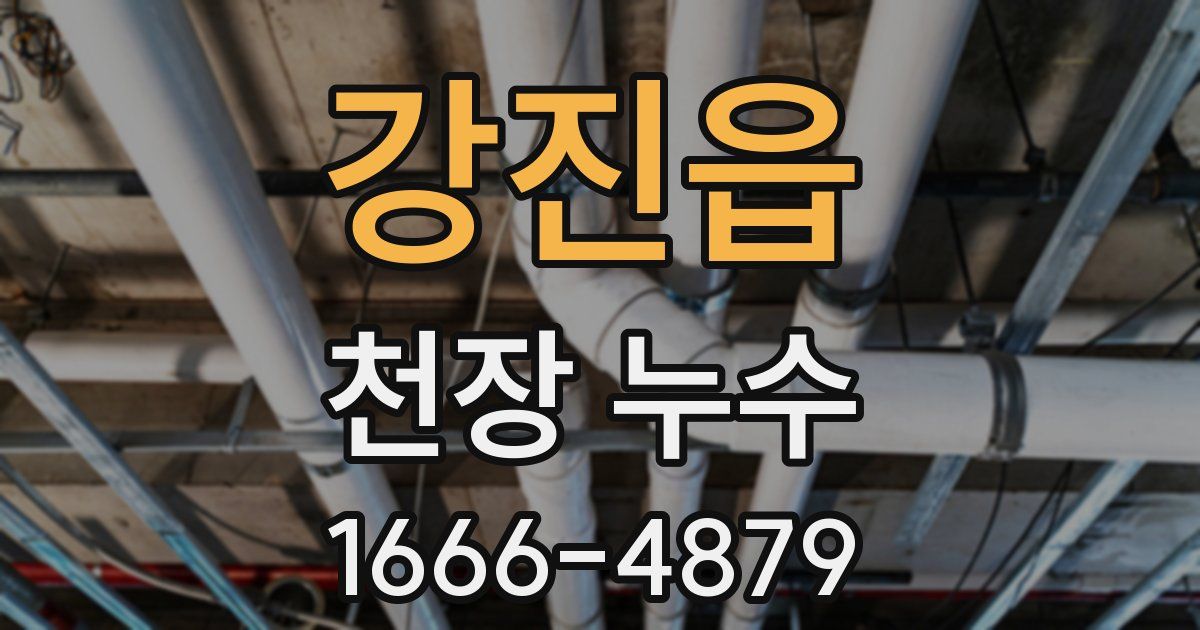 강진읍 천장 누수