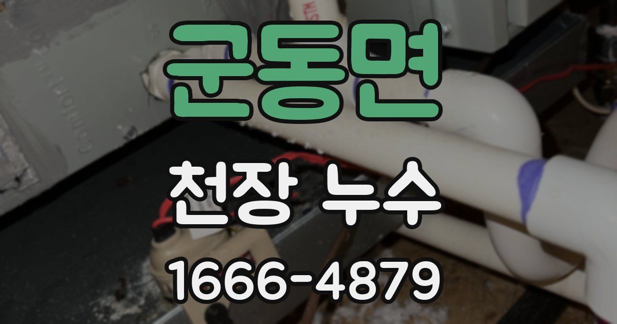 군동면 천장 누수