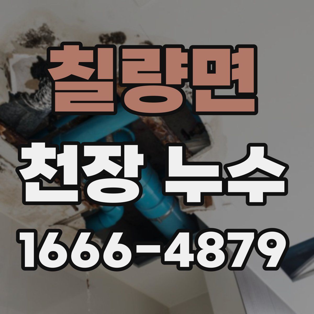 칠량면 천장 누수