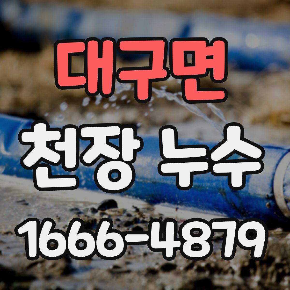 대구면 천장 누수