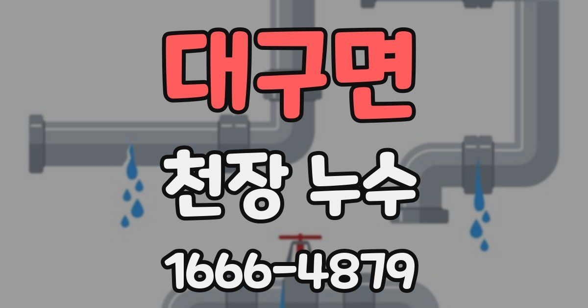 대구면 천장 누수