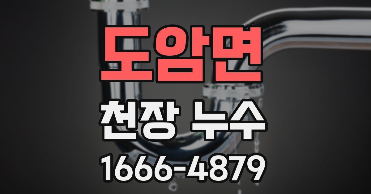 도암면 천장 누수