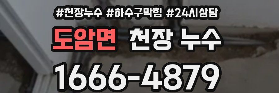 도암면 천장 누수