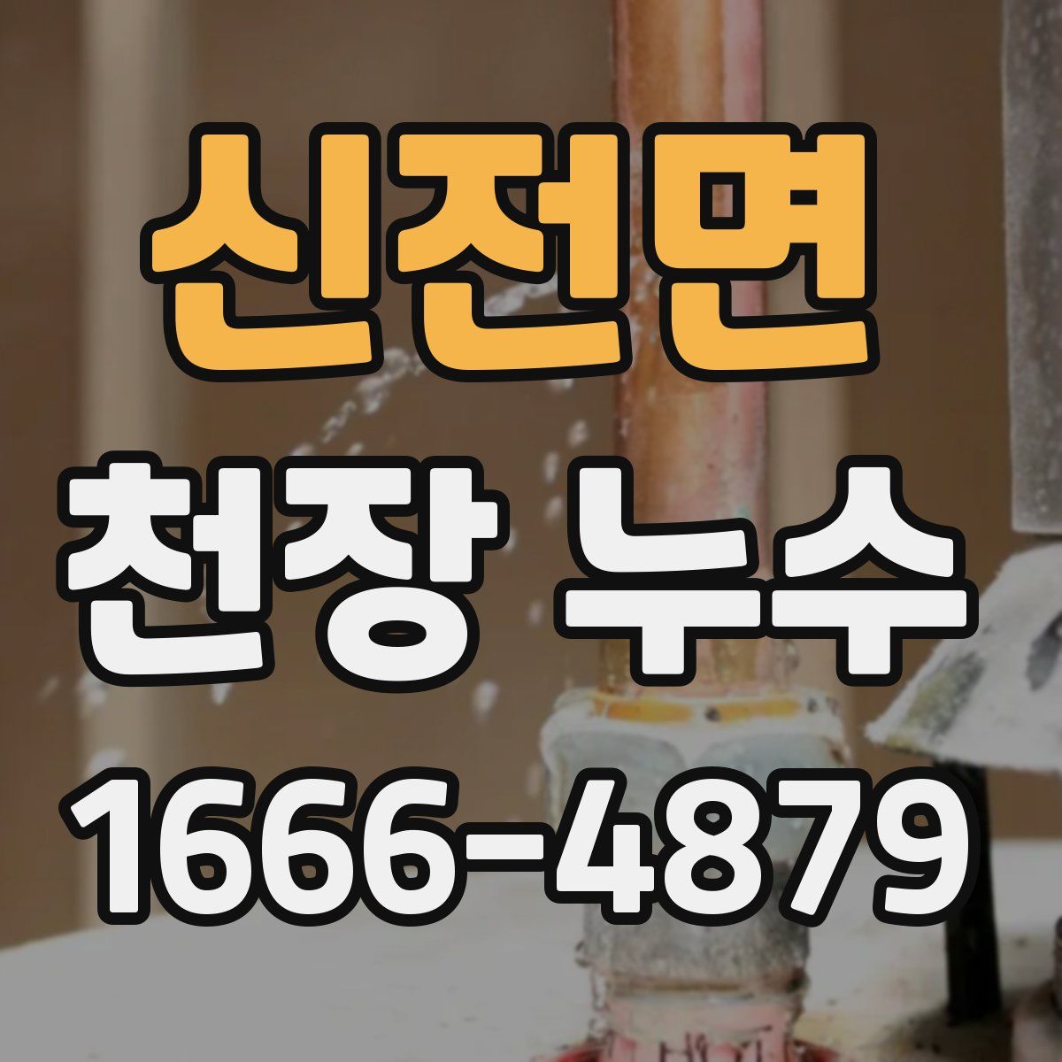 신전면 천장 누수