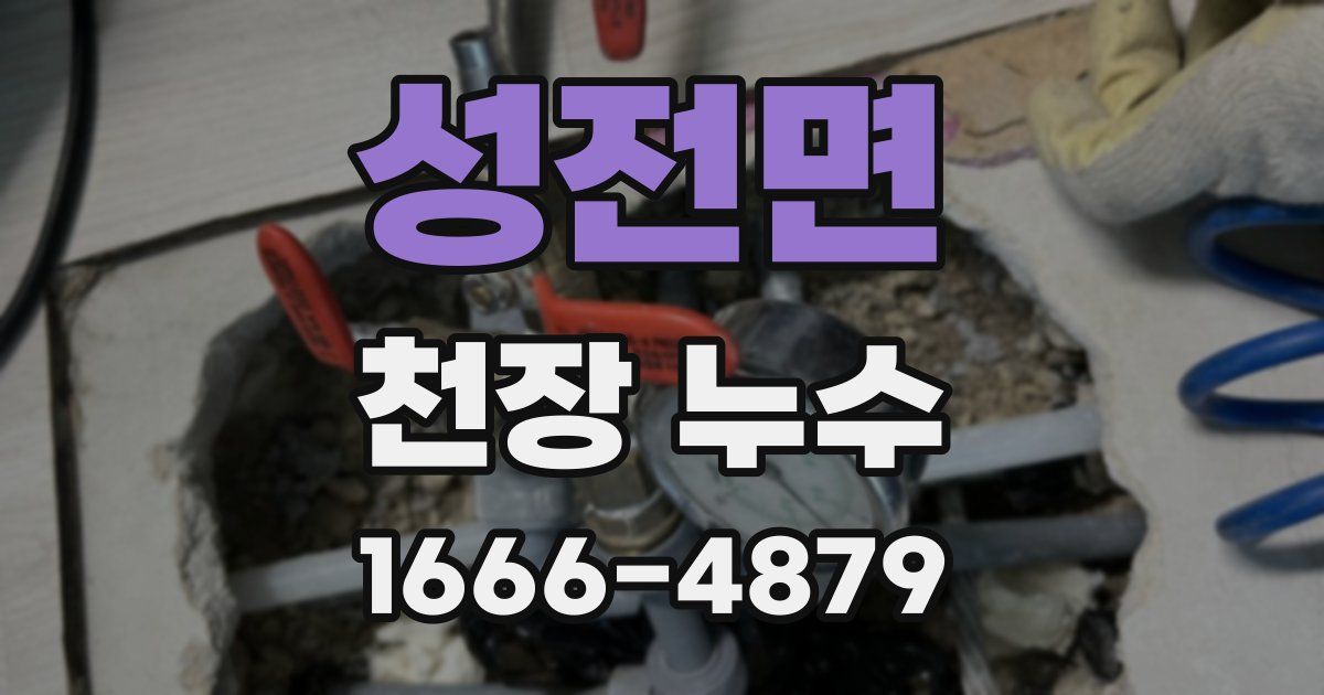 성전면 천장 누수