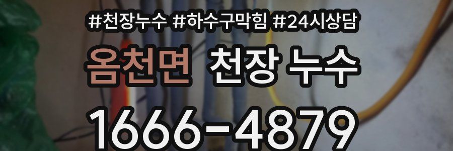 옴천면 천장 누수