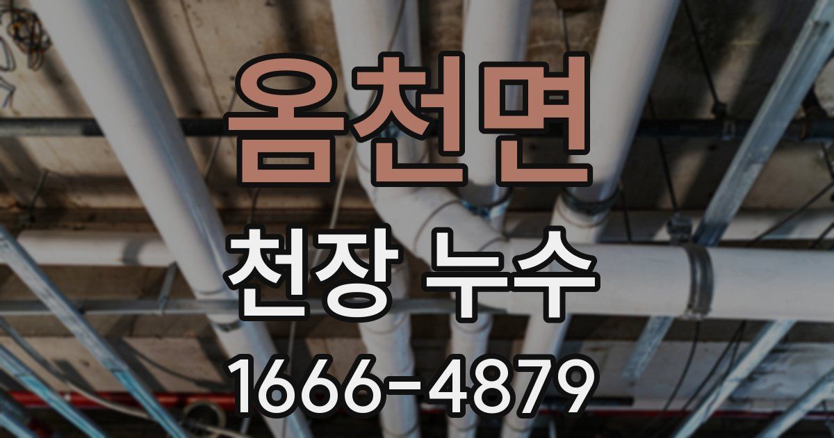 옴천면 천장 누수