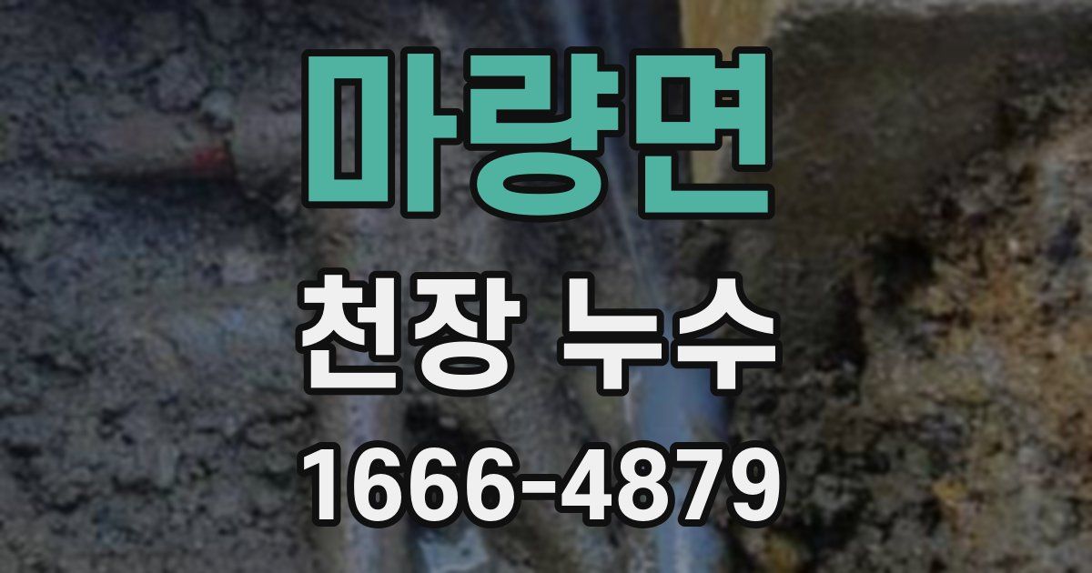 마량면 천장 누수