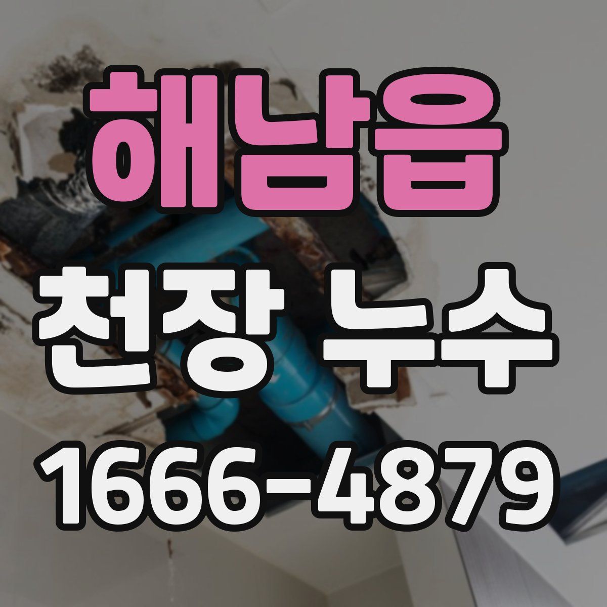 해남읍 천장 누수