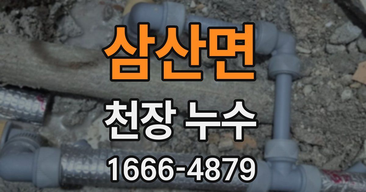 삼산면 천장 누수