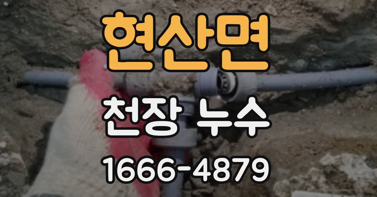 현산면 천장 누수