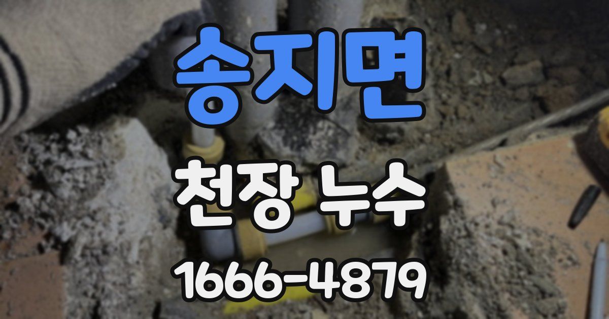 송지면 천장 누수