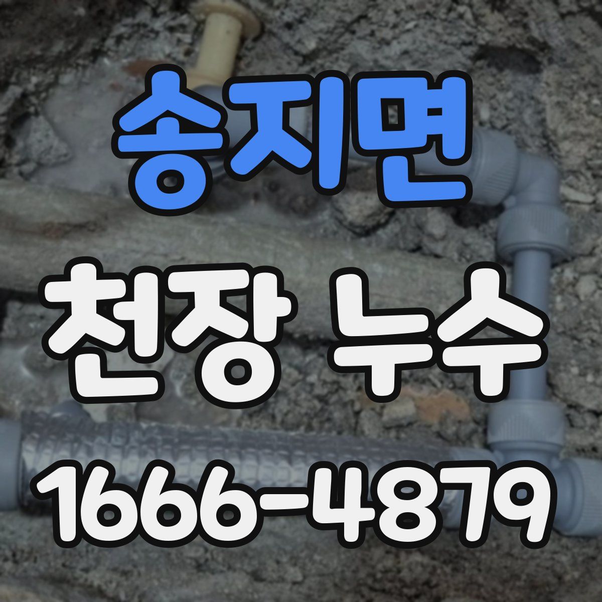 송지면 천장 누수