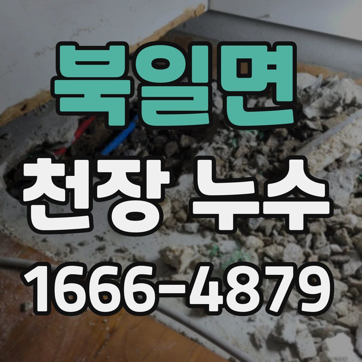 북일면 천장 누수