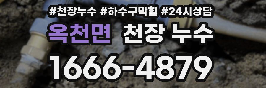 옥천면 천장 누수