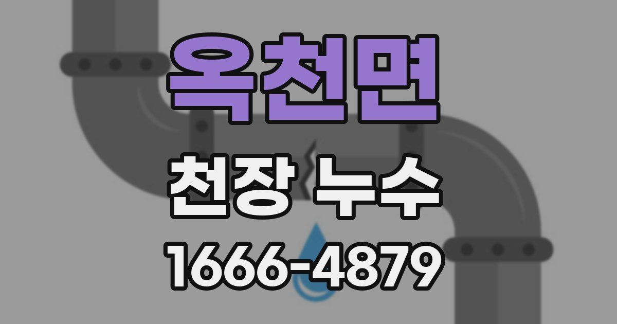 옥천면 천장 누수