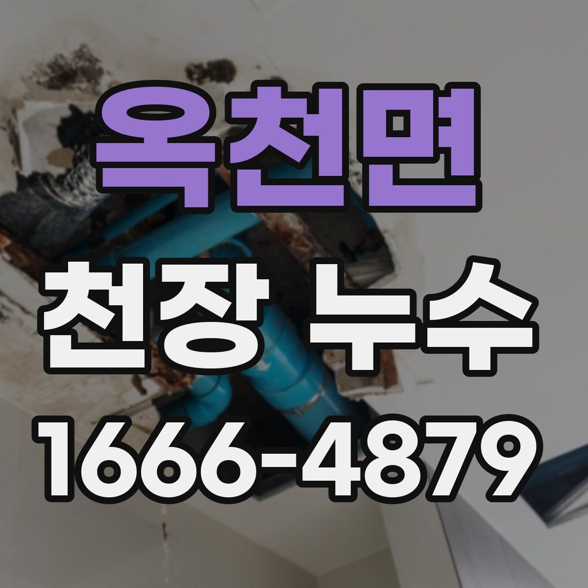 옥천면 천장 누수