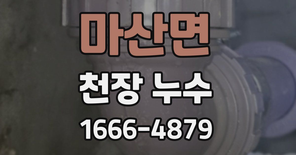 마산면 천장 누수