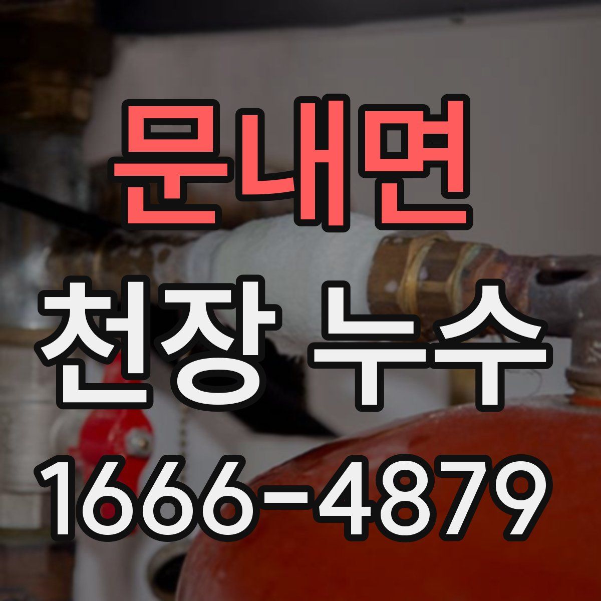 문내면 천장 누수