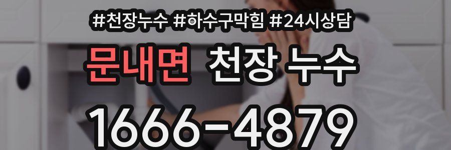 문내면 천장 누수