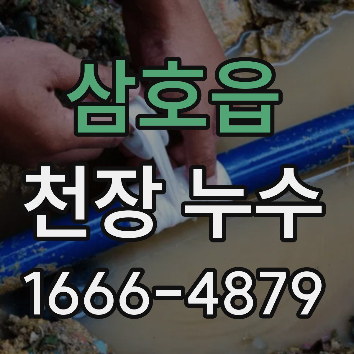 삼호읍 천장 누수