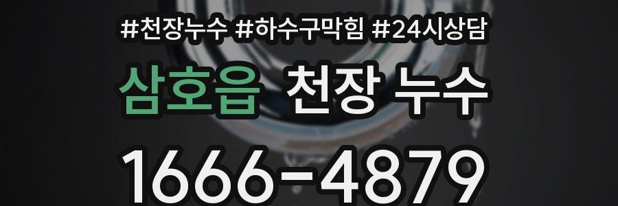 삼호읍 천장 누수