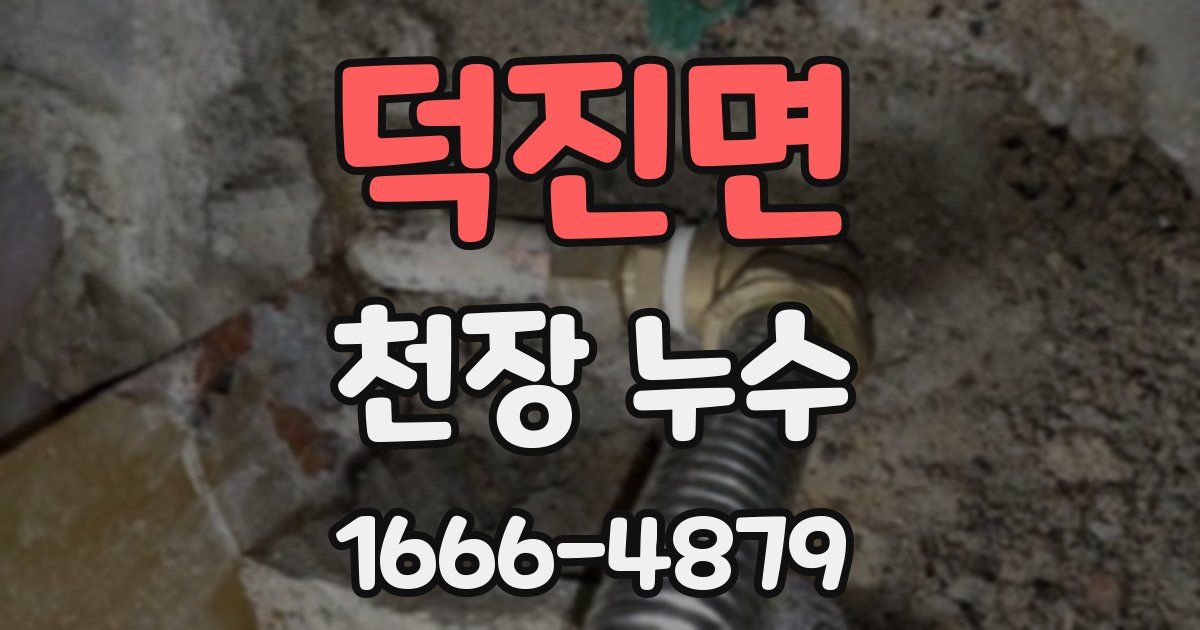 덕진면 천장 누수