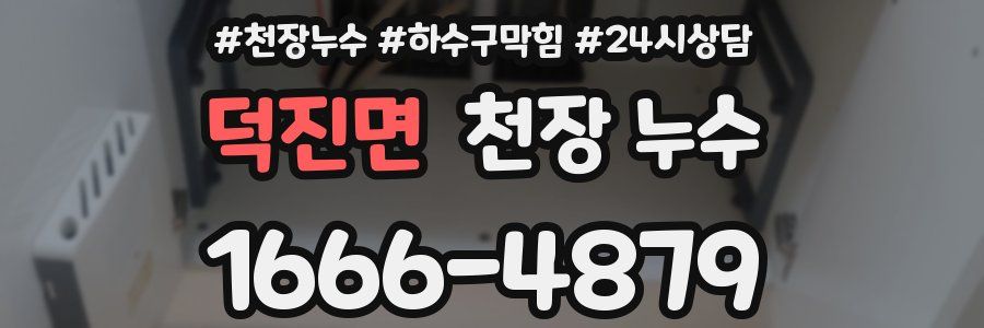 덕진면 천장 누수