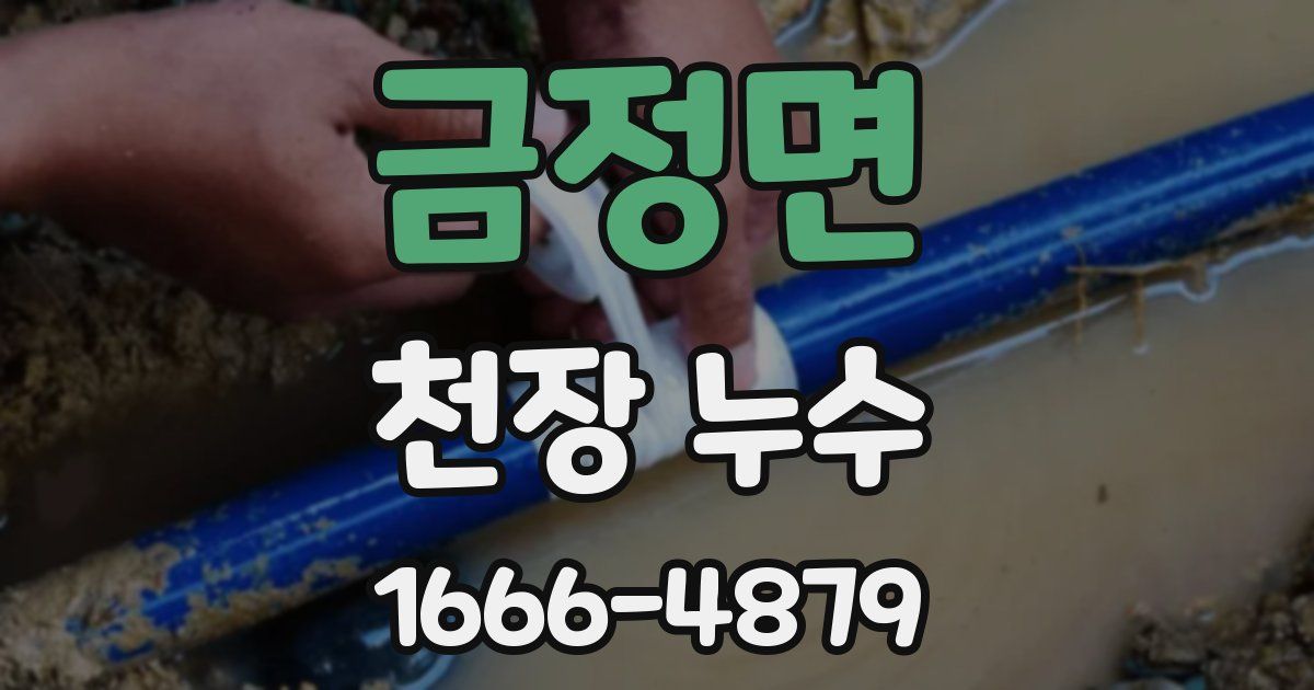 금정면 천장 누수