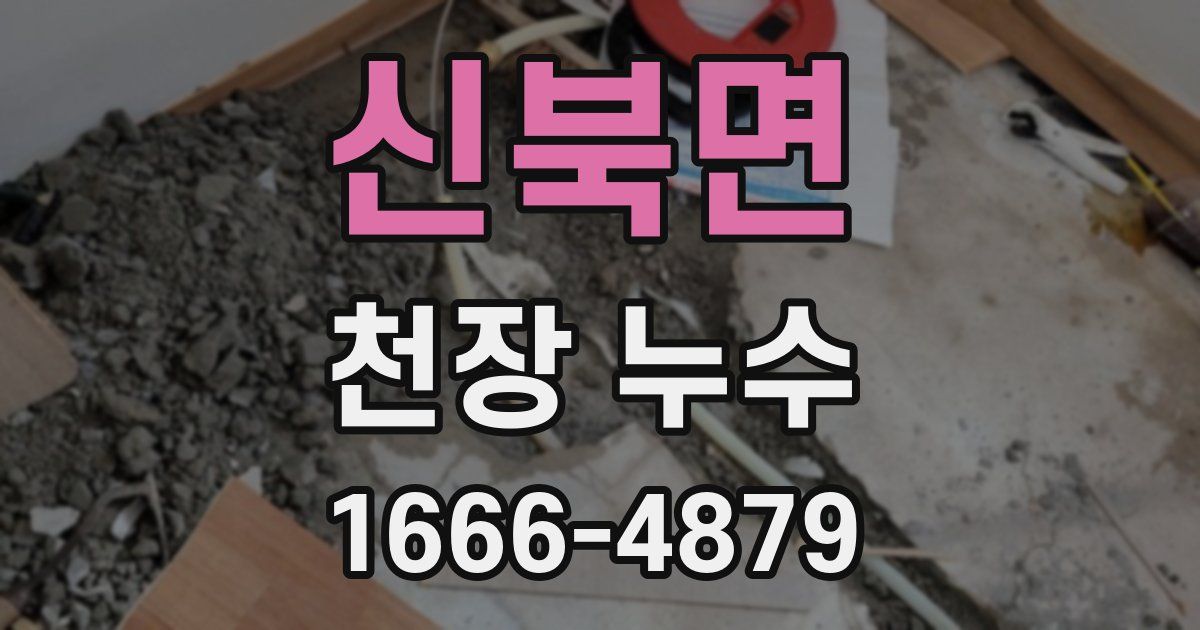 신북면 천장 누수