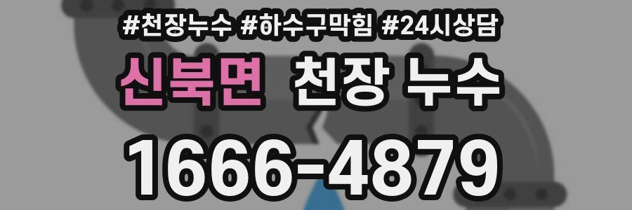 신북면 천장 누수