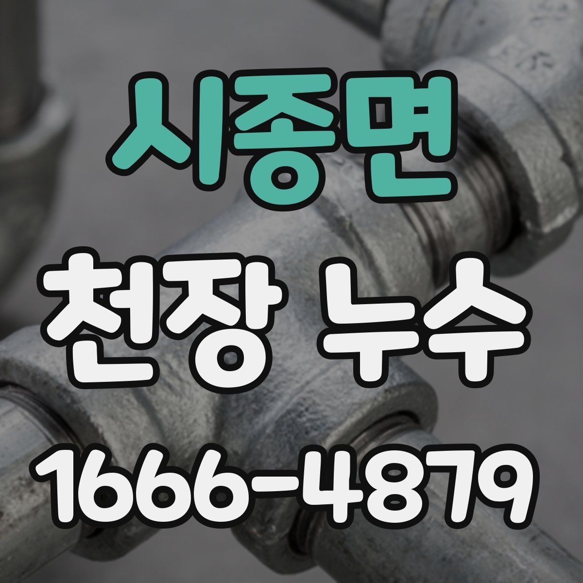 시종면 천장 누수