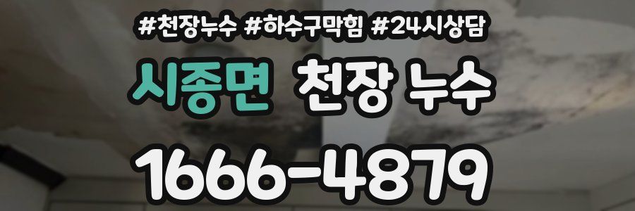 시종면 천장 누수
