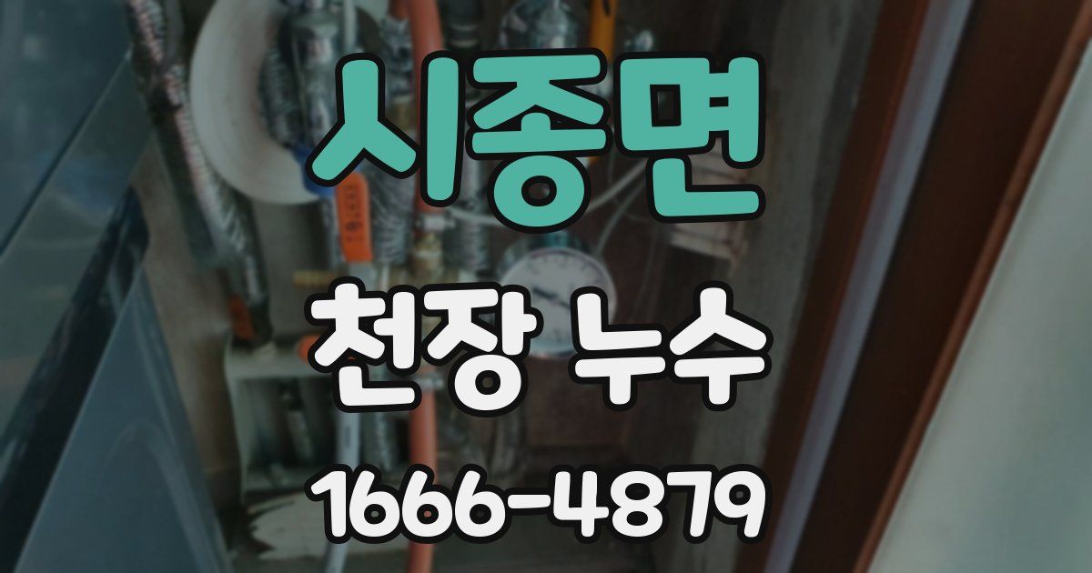 시종면 천장 누수