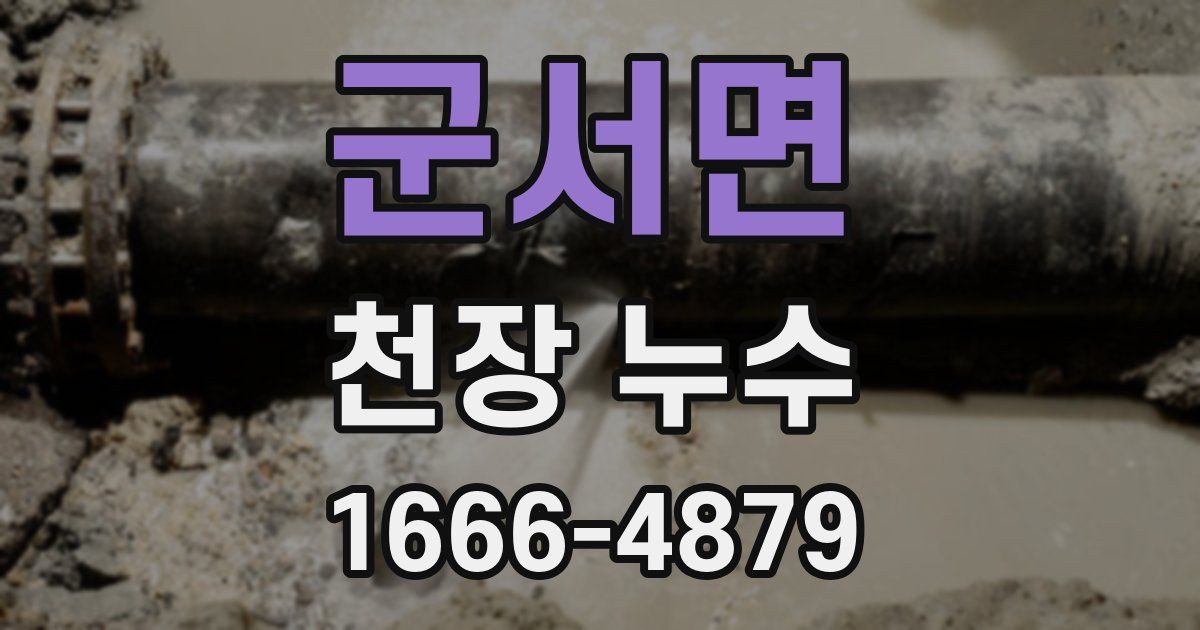 군서면 천장 누수