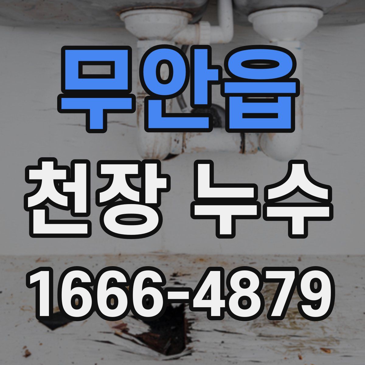 무안읍 천장 누수