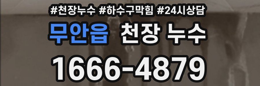 무안읍 천장 누수