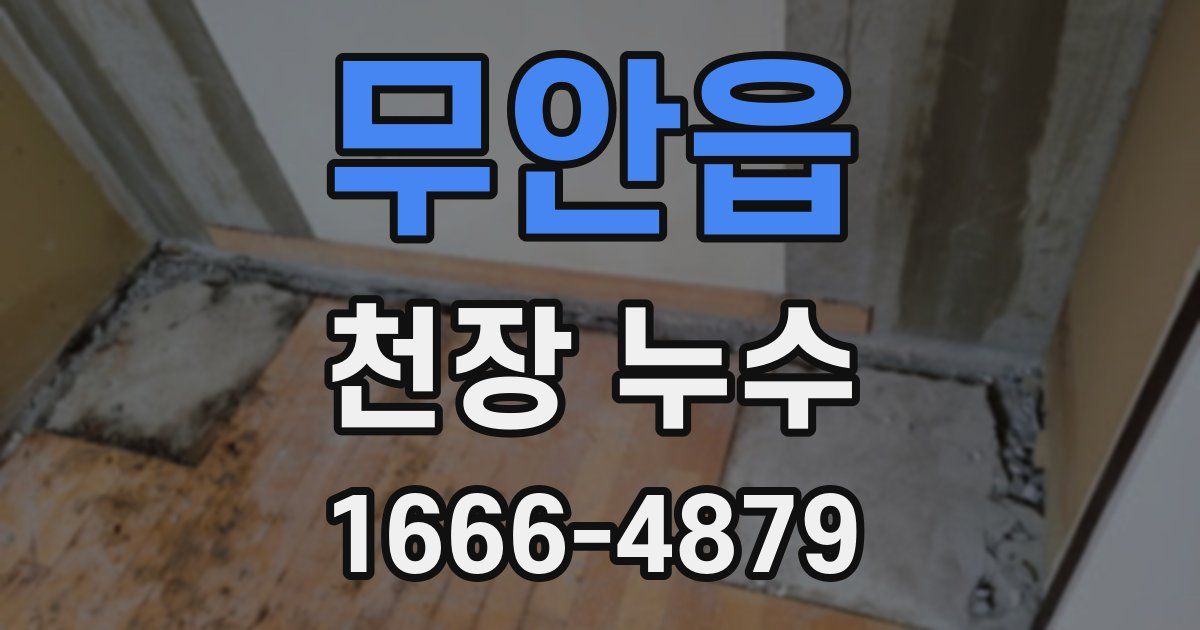 무안읍 천장 누수