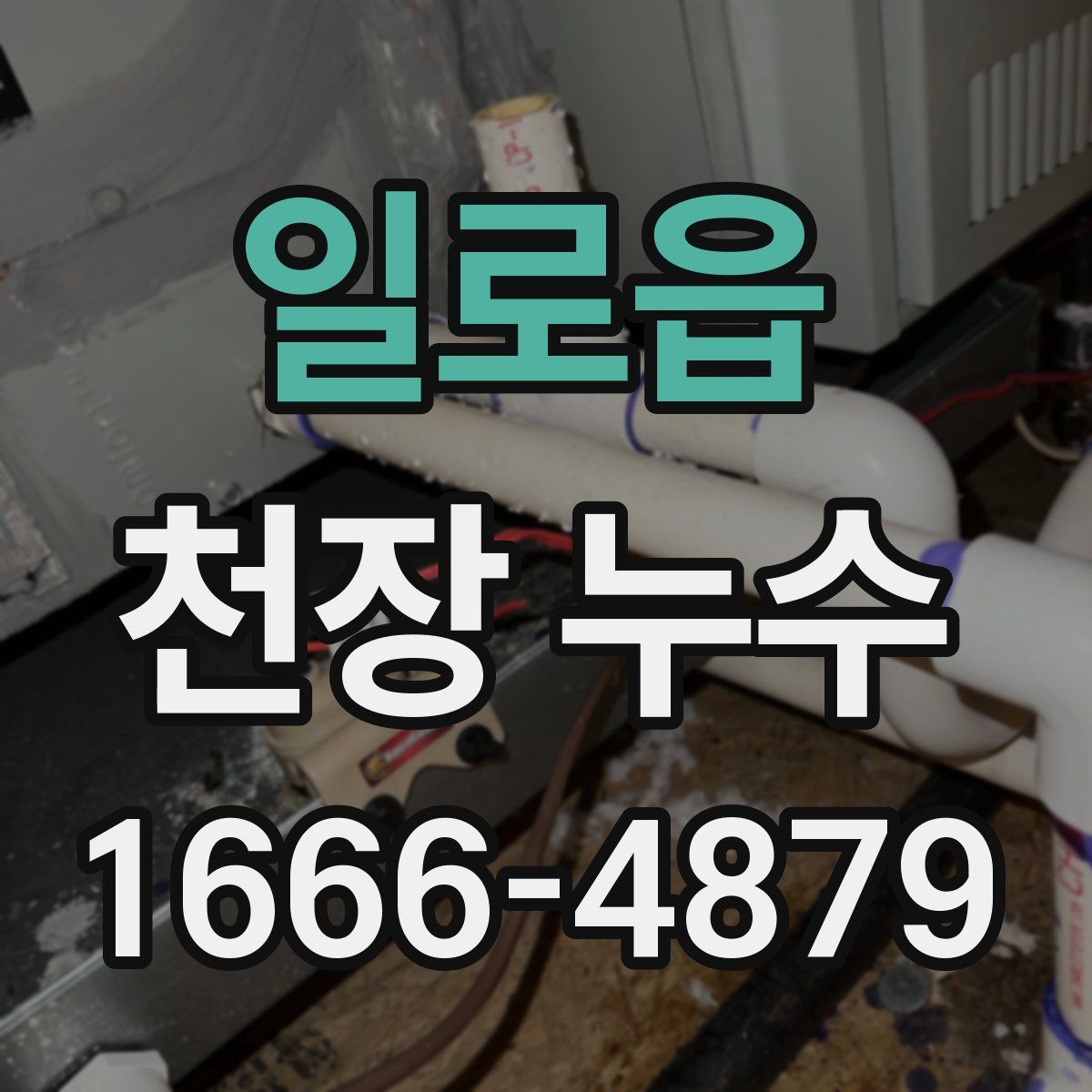 일로읍 천장 누수