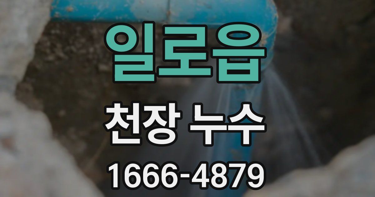 일로읍 천장 누수